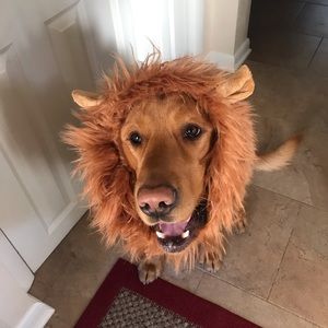 Meet your Posher, Bailee